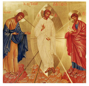 transfiguracion