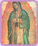 ir a virgen guadalupe