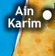 ir a ain karim