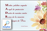 flores3